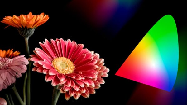 Espacios de Color en Fotografía | RBG Escuela